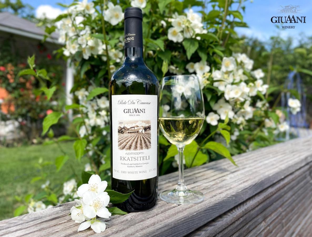 فندق Giuaani Winery Manavi المظهر الخارجي الصورة