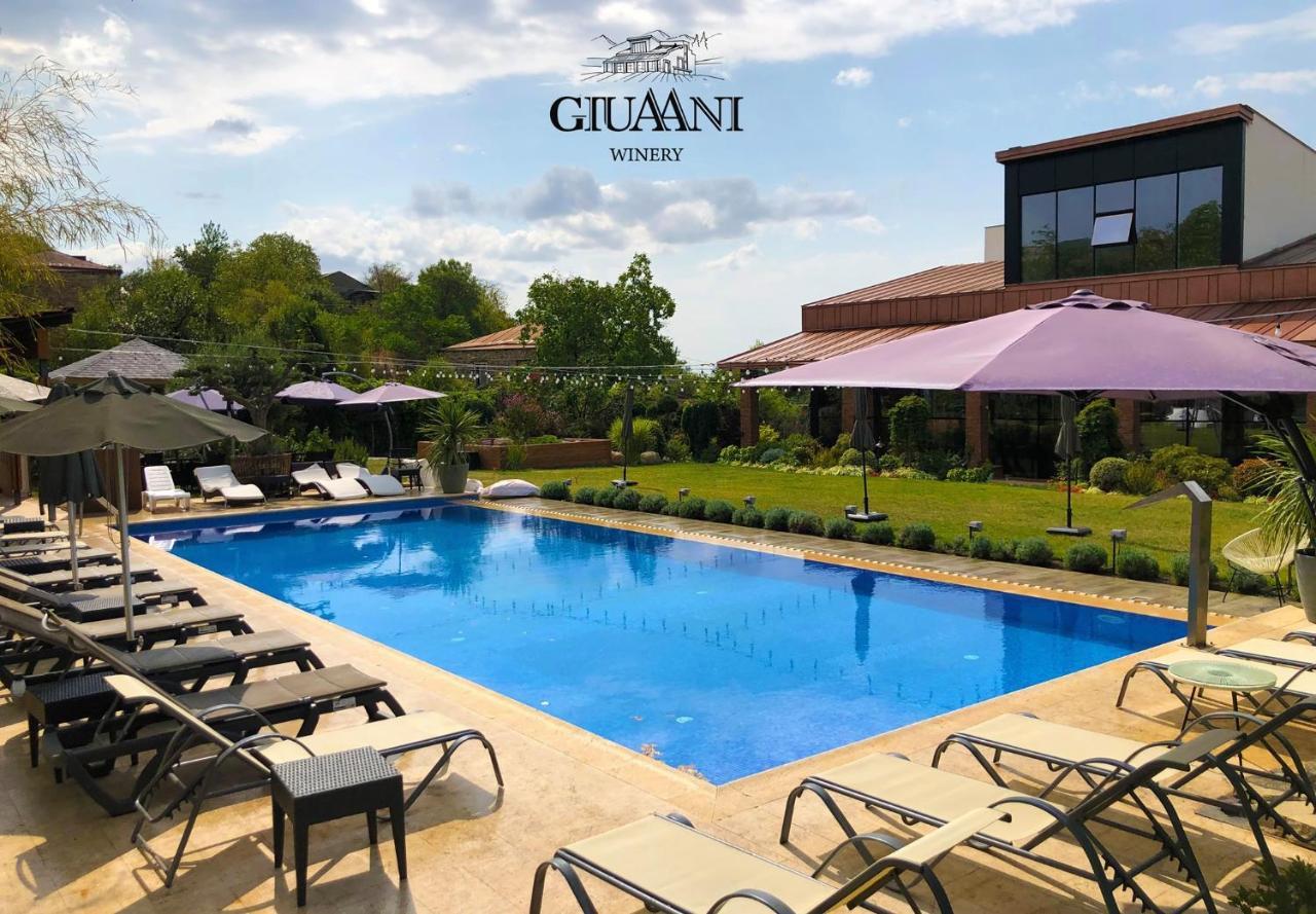 فندق Giuaani Winery Manavi المظهر الخارجي الصورة
